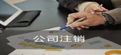 深圳公司注销清算组备案递交的材料是什
